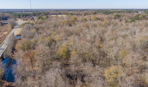 Photo #10 of SOLD property in Off NC 11, Albertson, NC 13.0 acres