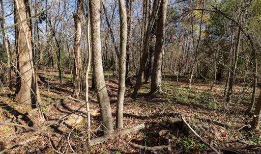 Photo #14 of SOLD property in Off NC 11, Albertson, NC 13.0 acres