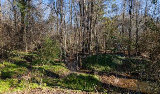 Photo #16 of SOLD property in Off NC 11, Albertson, NC 13.0 acres
