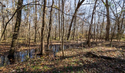 Photo #17 of SOLD property in Off NC 11, Albertson, NC 13.0 acres