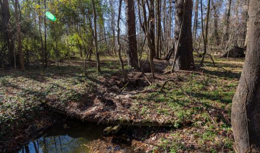 Photo #18 of SOLD property in Off NC 11, Albertson, NC 13.0 acres