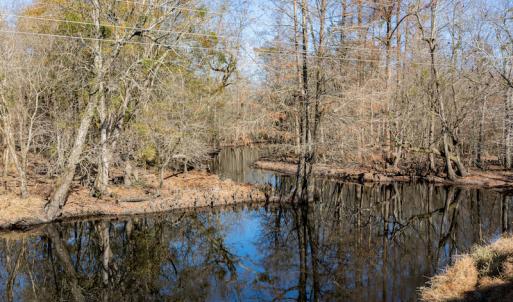 Photo #20 of SOLD property in Off NC 11, Albertson, NC 13.0 acres