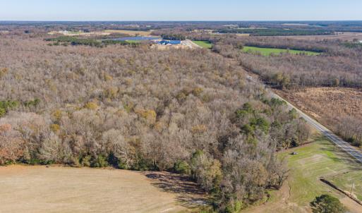 Photo #5 of SOLD property in Off NC 11, Albertson, NC 13.0 acres