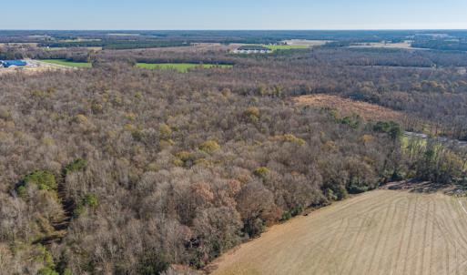 Photo #7 of SOLD property in Off NC 11, Albertson, NC 13.0 acres