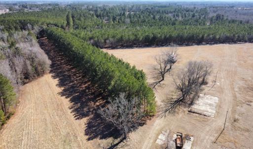 Photo #2 of SOLD property in 471 Dudley Road, Latta, SC 61.6 acres