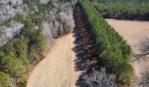 Photo #7 of SOLD property in 471 Dudley Road, Latta, SC 61.6 acres