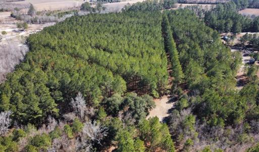Photo #11 of SOLD property in 471 Dudley Road, Latta, SC 61.6 acres