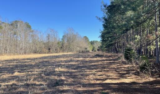 Photo #21 of SOLD property in 471 Dudley Road, Latta, SC 61.6 acres