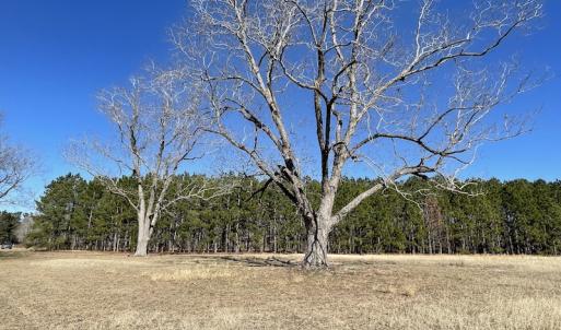 Photo #26 of SOLD property in 471 Dudley Road, Latta, SC 61.6 acres