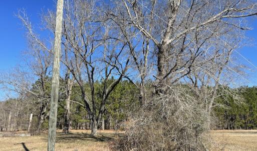 Photo #28 of SOLD property in 471 Dudley Road, Latta, SC 61.6 acres
