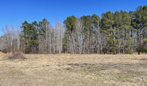Photo #30 of SOLD property in 471 Dudley Road, Latta, SC 61.6 acres