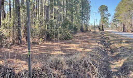 Photo #31 of SOLD property in 471 Dudley Road, Latta, SC 61.6 acres