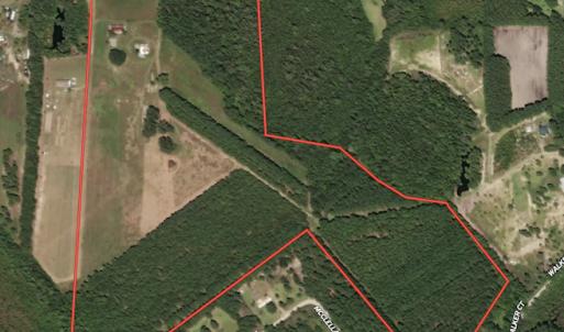 Photo #1 of SOLD property in 471 Dudley Road, Latta, SC 61.6 acres