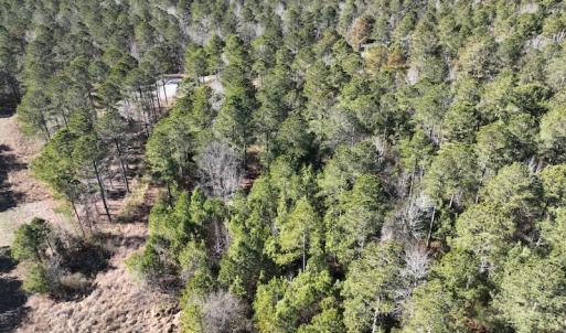Photo #9 of SOLD property in 325 Trailwood Court, Edenton, NC 16.8 acres