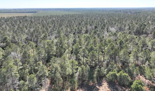 Photo #10 of SOLD property in 325 Trailwood Court, Edenton, NC 16.8 acres