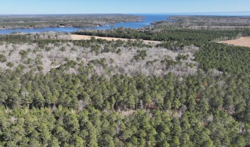 Photo #11 of SOLD property in 325 Trailwood Court, Edenton, NC 16.8 acres