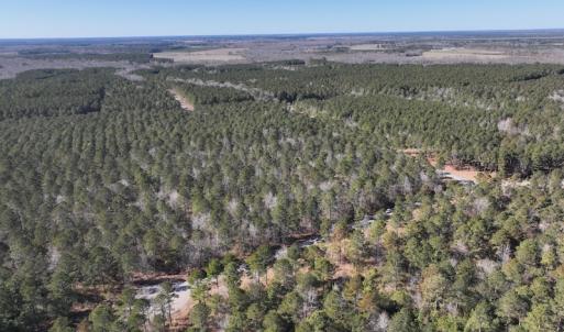 Photo #13 of SOLD property in 325 Trailwood Court, Edenton, NC 16.8 acres