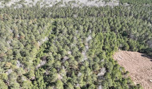 Photo #14 of SOLD property in 325 Trailwood Court, Edenton, NC 16.8 acres