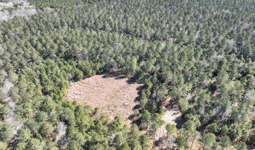 Photo #15 of SOLD property in 325 Trailwood Court, Edenton, NC 16.8 acres