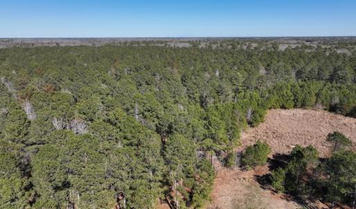 Photo #16 of SOLD property in 325 Trailwood Court, Edenton, NC 16.8 acres