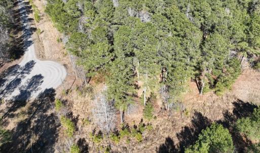 Photo #17 of SOLD property in 325 Trailwood Court, Edenton, NC 16.8 acres