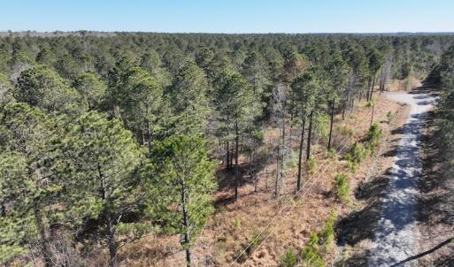 Photo #2 of SOLD property in 325 Trailwood Court, Edenton, NC 16.8 acres