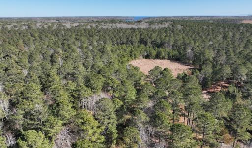 Photo #4 of SOLD property in 325 Trailwood Court, Edenton, NC 16.8 acres
