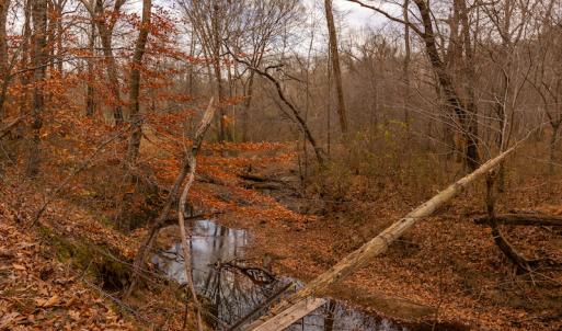 Photo #12 of SOLD property in Off State Road 1580, Leasburg, NC 22.9 acres