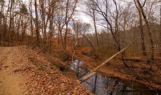 Photo #14 of SOLD property in Off State Road 1580, Leasburg, NC 22.9 acres