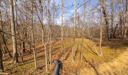 Photo #16 of SOLD property in Off State Road 1580, Leasburg, NC 22.9 acres