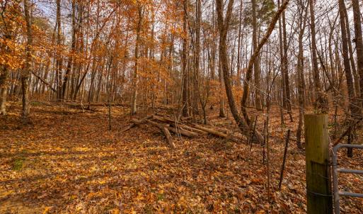 Photo #18 of SOLD property in Off State Road 1580, Leasburg, NC 22.9 acres