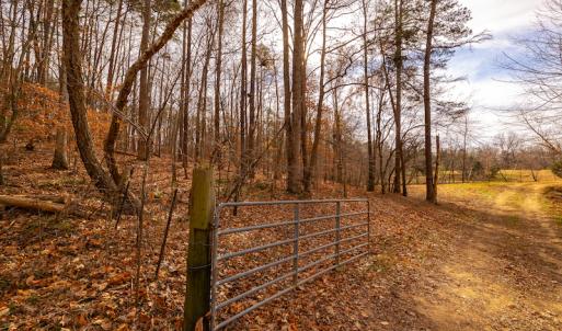 Photo #19 of SOLD property in Off State Road 1580, Leasburg, NC 22.9 acres
