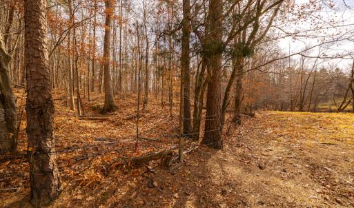 Photo #20 of SOLD property in Off State Road 1580, Leasburg, NC 22.9 acres