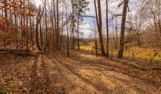 Photo #22 of SOLD property in Off State Road 1580, Leasburg, NC 22.9 acres