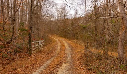 Photo #24 of SOLD property in Off State Road 1580, Leasburg, NC 22.9 acres