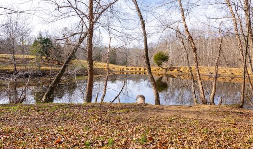 Photo #31 of SOLD property in Off State Road 1580, Leasburg, NC 22.9 acres