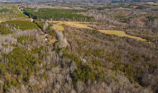 Photo #37 of Off Weadon Road, Blanch, NC 246.0 acres