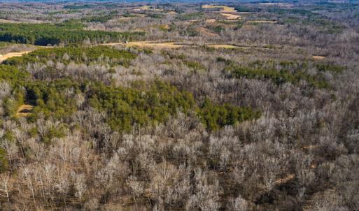 Photo #41 of Off Weadon Road, Blanch, NC 246.0 acres