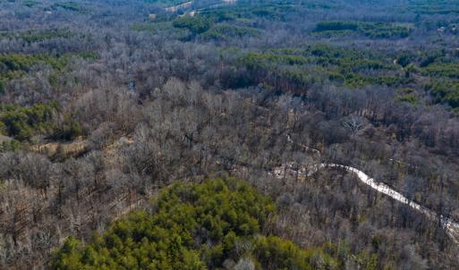 Photo #42 of Off Weadon Road, Blanch, NC 246.0 acres