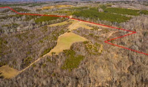 Photo #5 of Off Weadon Road, Blanch, NC 246.0 acres