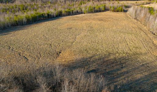 Photo #6 of Off Weadon Road, Blanch, NC 246.0 acres