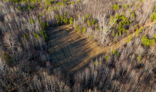 Photo #8 of Off Weadon Road, Blanch, NC 246.0 acres