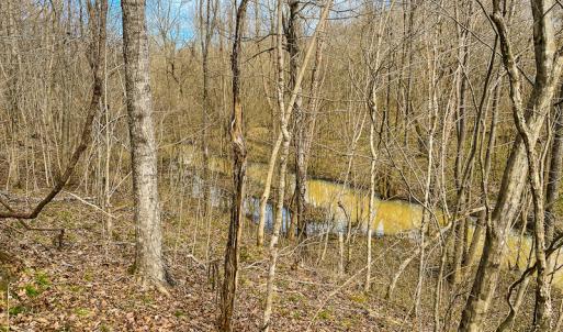 Photo #17 of Off Weadon Road, Blanch, NC 246.0 acres