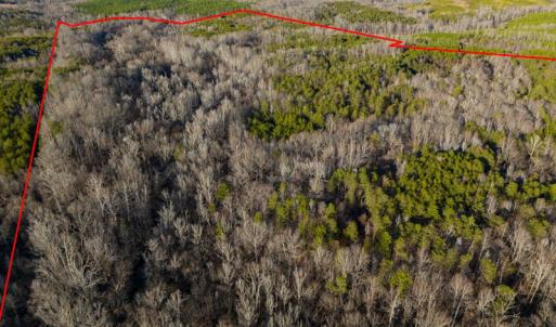 Photo #31 of Off Weadon Road, Blanch, NC 246.0 acres