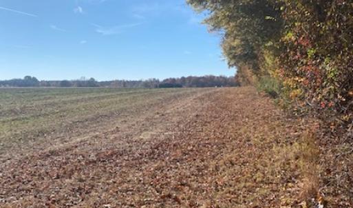Photo #3 of SOLD property in Cypress Bridge Park, Newsoms, VA 63.4 acres
