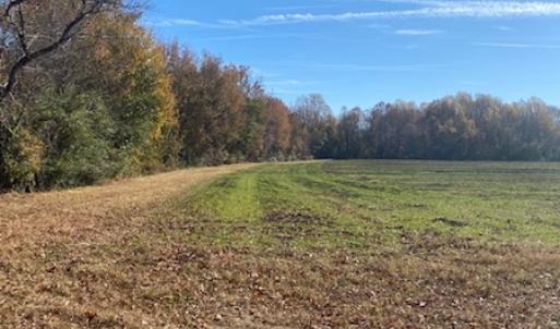 Photo #4 of SOLD property in Cypress Bridge Park, Newsoms, VA 63.4 acres