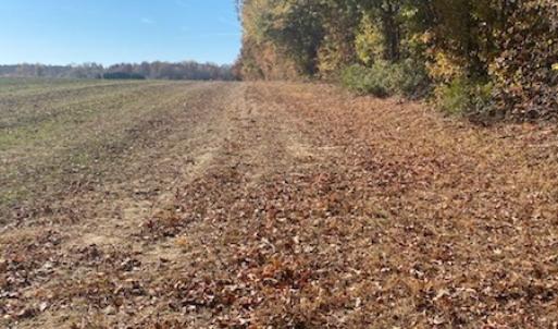 Photo #5 of SOLD property in Cypress Bridge Park, Newsoms, VA 63.4 acres