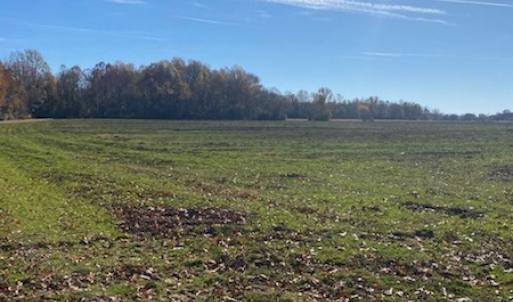 Photo #6 of SOLD property in Cypress Bridge Park, Newsoms, VA 63.4 acres