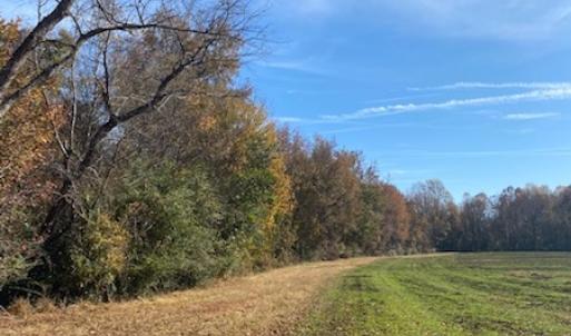 Photo #7 of SOLD property in Cypress Bridge Park, Newsoms, VA 63.4 acres