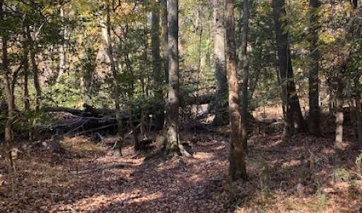 Photo #8 of SOLD property in Cypress Bridge Park, Newsoms, VA 63.4 acres